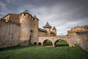 Courtier Carcassonne